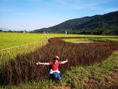-风云岭森林公园
