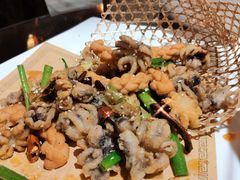 香辣迷你小八爪-东来菜馆•手抓海鲜家常菜•海鲜锅贴(鸽子窝店)