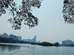 -南宁南湖公园