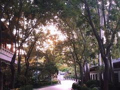 -新川办餐厅