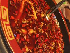 -老黄记丁丁美蛙鱼头自助鱼火锅(中海国际旗舰店)