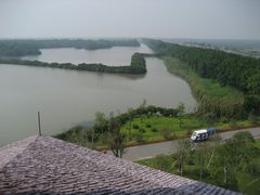 -大湾区中央湿地公园