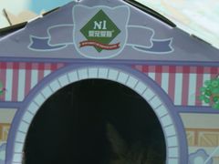 -青藏高原野生动物园