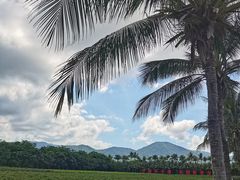 -亚龙湾国际玫瑰谷