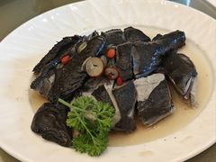 药材浸乌鸡-沙龙酒家
