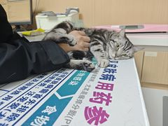 -谐和贝康宠物医院24小时·宠保定点(急重症转诊中心)