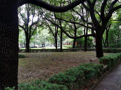 -上海交通大学医学院附属瑞金医院(总院)