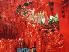 -龙口南山旅游景区