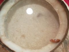 -佛有缘素食馆·荔湾老字号(陈家祠首店)