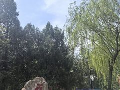-浮来山风景区