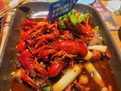 金奖油焖小龙虾-馋嘴猫北京食堂·烤鸭·宵夜(亚运村店)