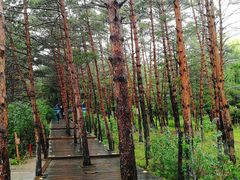 -帽儿山国家森林公园