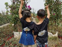 -中国天府农业博览园