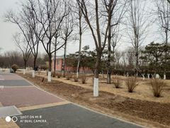 -燕郊植物园