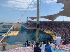 -秦皇岛乐岛海洋王国