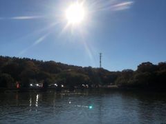 -大青沟风景区