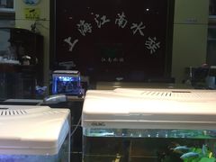 -双季花艺园艺市场(浦东店)