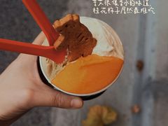 -Dip in Gelato(富民路店)