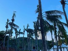 -日落吧·海景咖啡厅·餐酒吧·鸡尾酒·下午茶·乐队表演·浪漫夕阳·三亚文华东方酒店