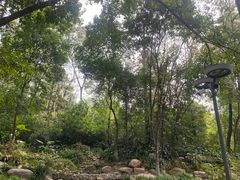 -成都市活水公园