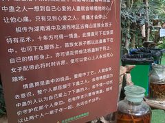 -呀路古热带植物园