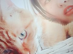 -小时光咖啡馆(开森度假森林店)
