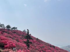 -木兰云雾山