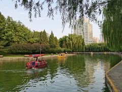 -团结湖公园