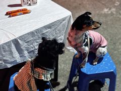 -巴蜀飘香川菜馆(无锡大饭东湖滨路酒吧街店)