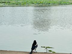 -颐和园