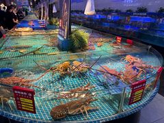 -驻海渔市(置信店)