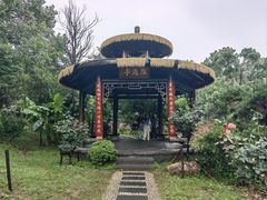 -东湖落雁景区