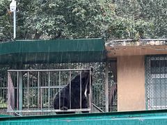 -栾川竹海野生动物园