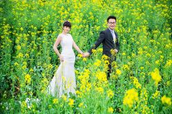 点击看大图 -金夫人婚纱摄影(华南店)