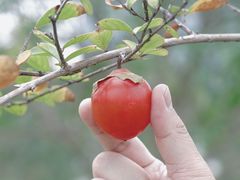 -杭州城北体育公园