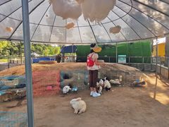 -前小桔亲子创意农场·草莓采摘·露营烧烤