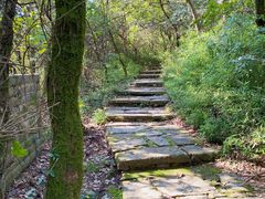 -杭州半山国家森林公园