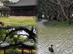 -江心屿景区