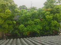 -西塔老太太泥炉烤肉(青浦蟠龙天地店)