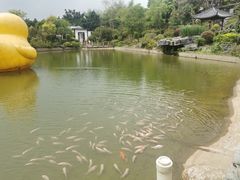 -谷丰健康凤贤居酒家