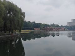 -裕华世纪公园