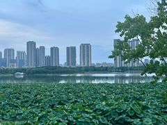 -月湖风景区