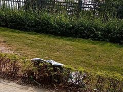 -迪茵湖田家舍生态农场