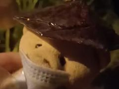 -成都中医药大学(温江校区)