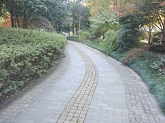-桐乡凤凰湖