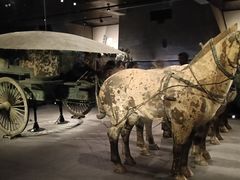 -秦始皇帝陵博物院-丽山园
