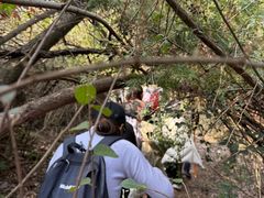 -青龙山国家森林公园