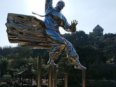 -王借岗森林公园