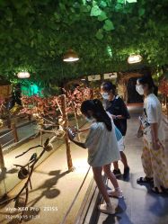 -酷嗒动物文化乐园(cutezoo西溪乐天城店)