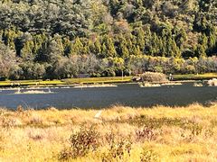-腾冲北海湿地